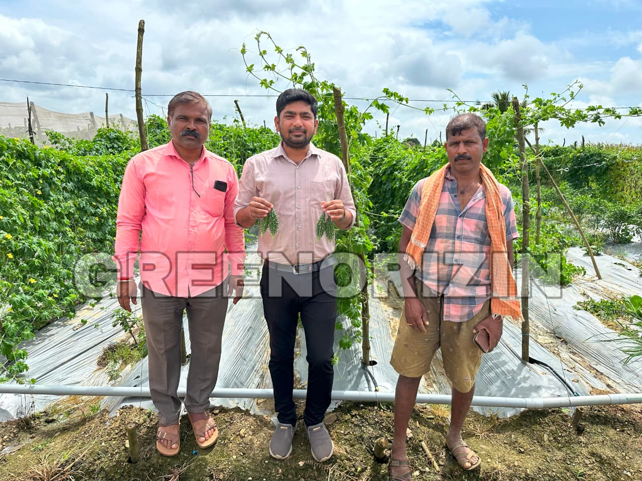 Empowering Farmers with High-Yielding Varieties