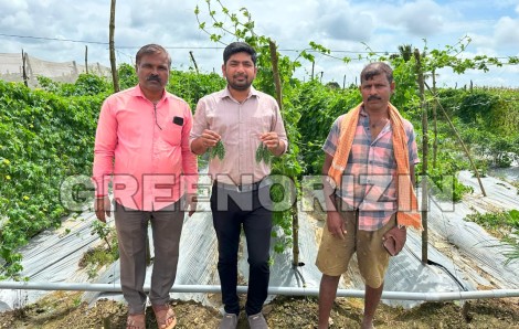 Empowering Farmers with High-Yielding Varieties