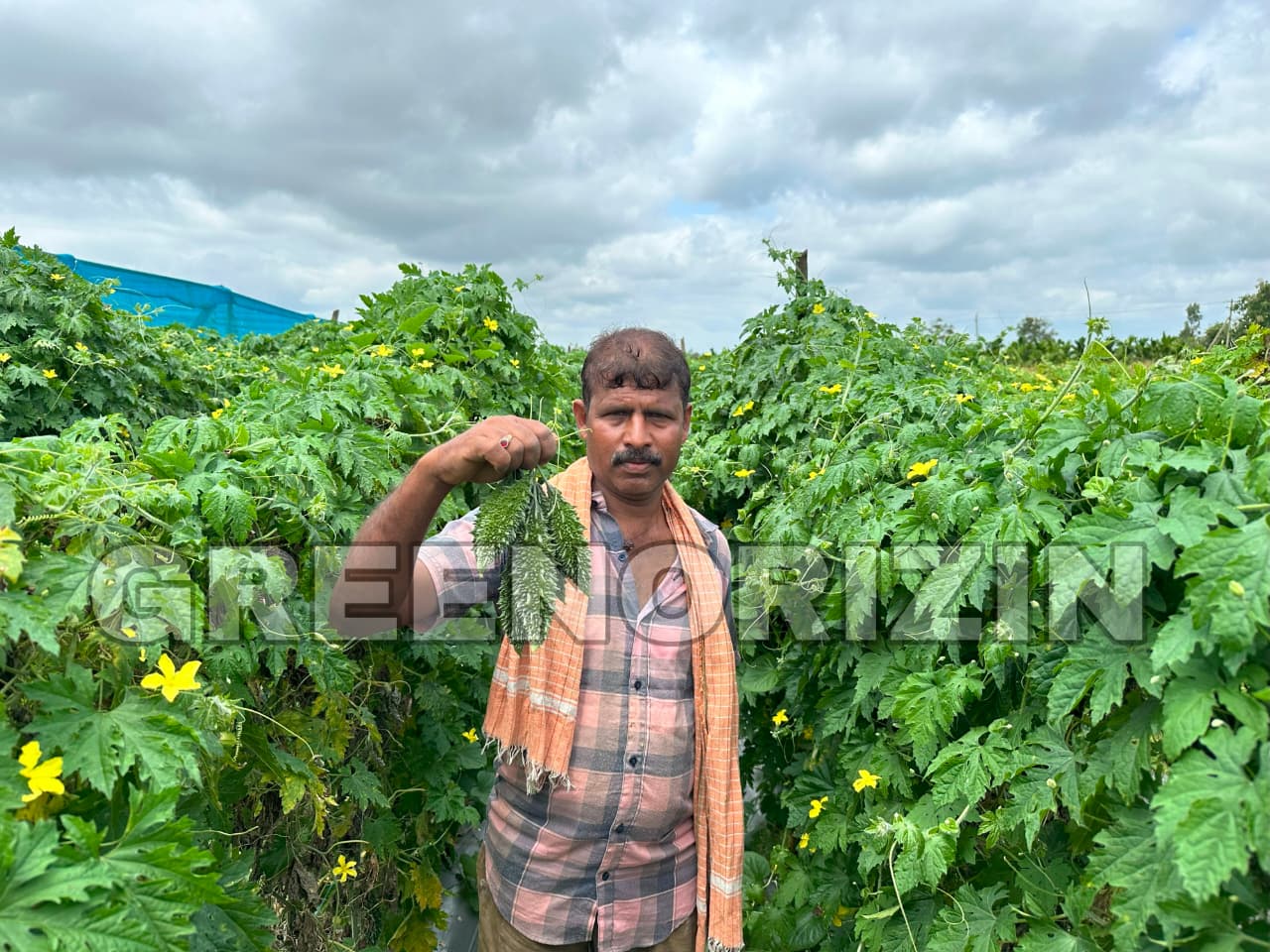 From Lab to Land: Driving Agricultural Progress