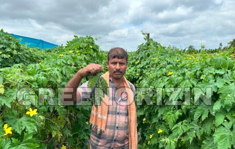 From Lab to Land: Driving Agricultural Progress