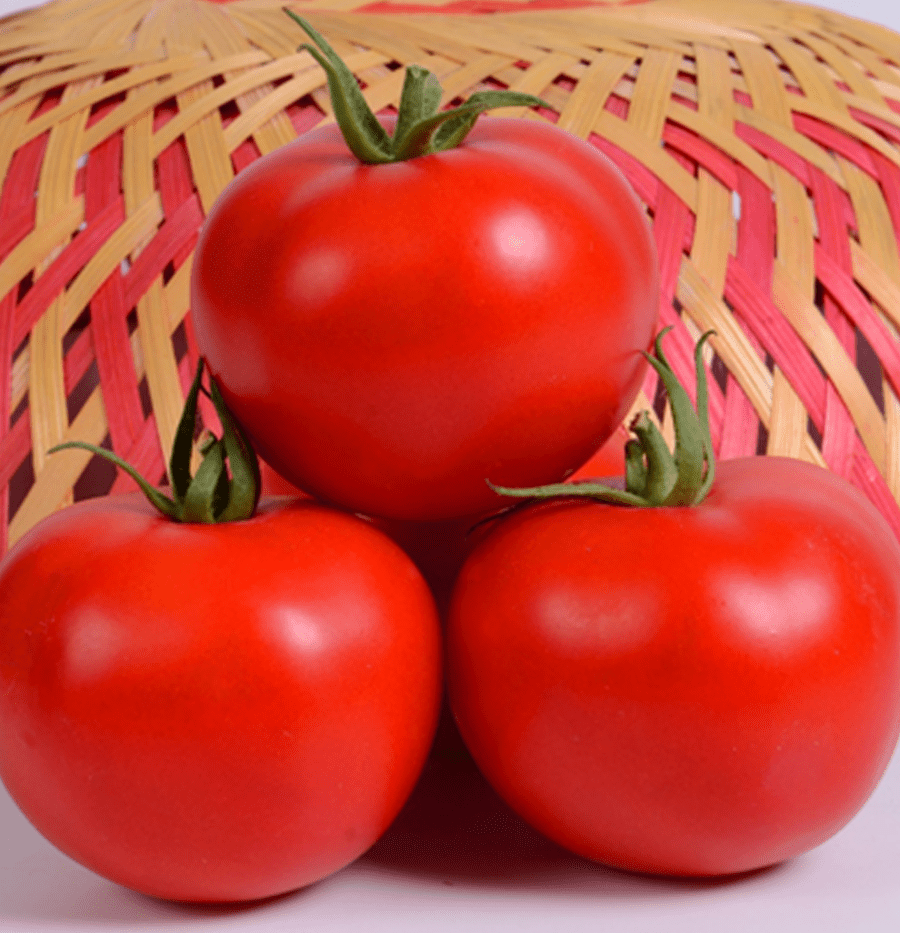 GO - Janavi - Tomato
