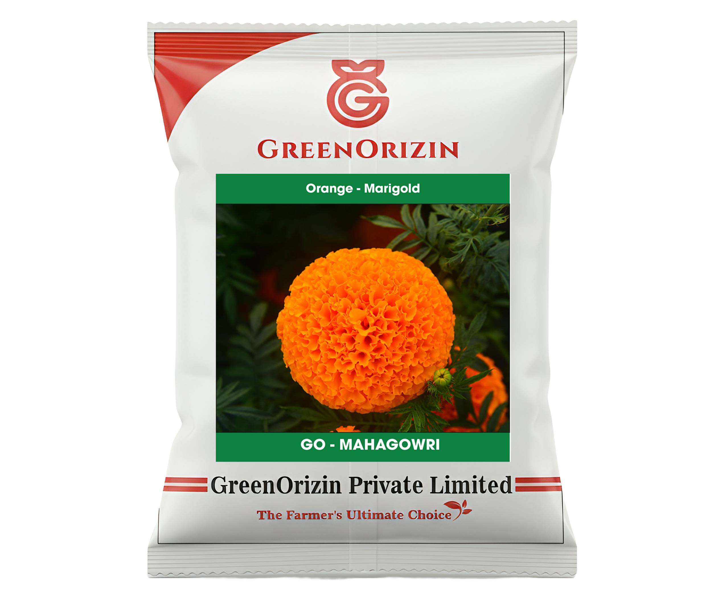 GO - Mahagowri Orange - Marigold