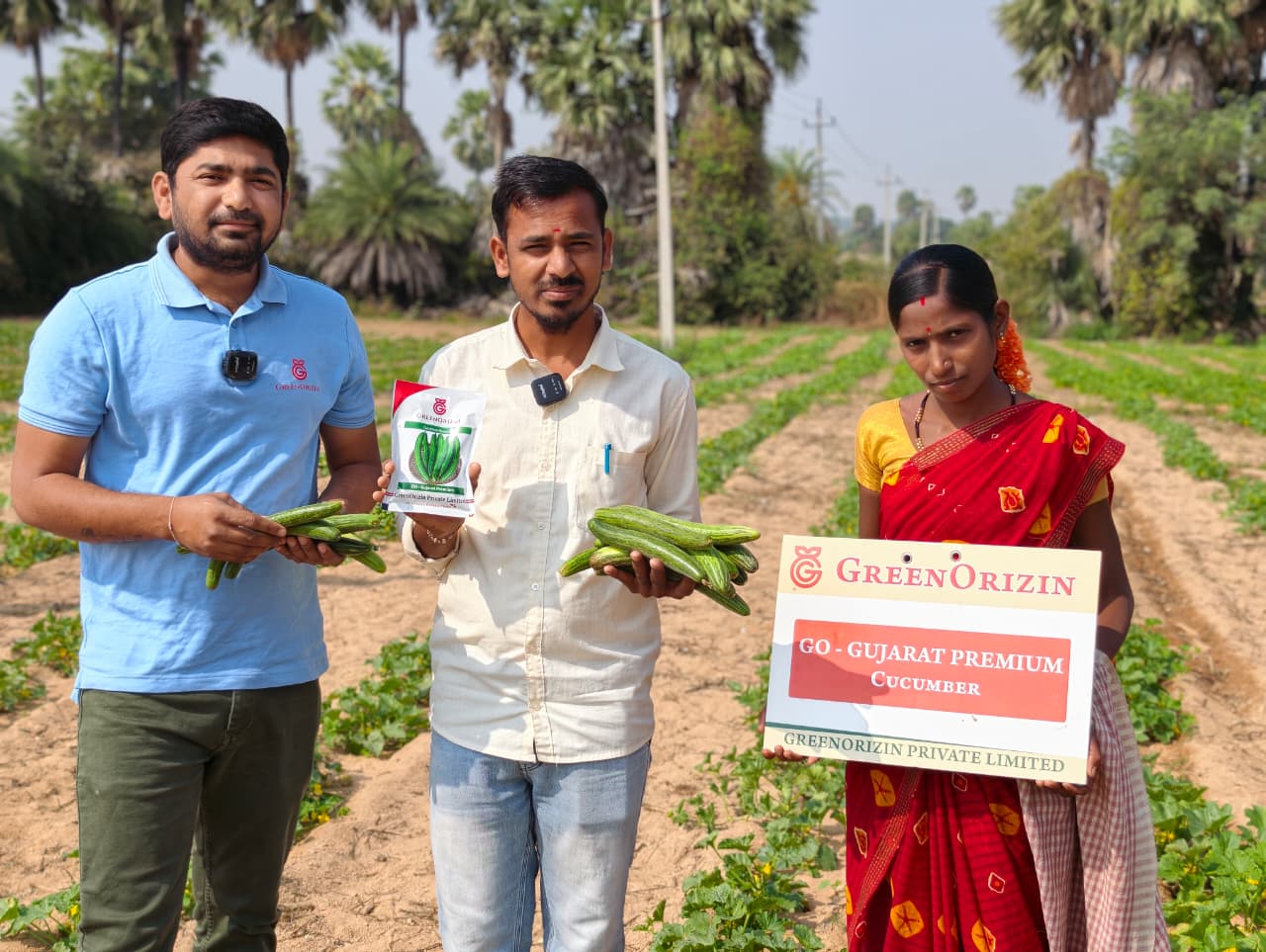 Field Visit of GO - Gujarat Premium Cucumber